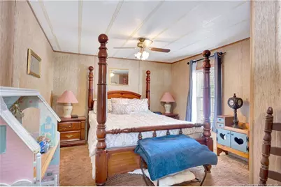 253 Butters Cemetery Road, Bladenboro, NC 28320 - Photo 19