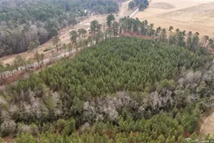 1280 McLauchlin Rd, Vass, NC 28394 - Photo 9