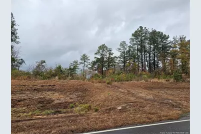 1540 Buster Vee Lane, Fayetteville, NC 28314 - Photo 1