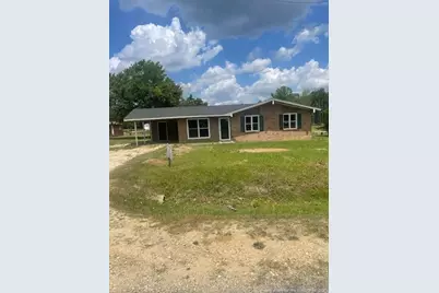 1374 McLean Chapel Church Road, Bunnlevel, NC 28323 - Photo 3