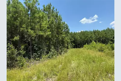 0 Tabor Church Road, Fayetteville, NC 28312 - Photo 7