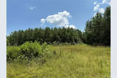 0 Tabor Church Road, Fayetteville, NC 28312 - Photo 5