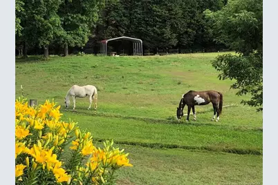 2574 Norrington Road, Lillington, NC 27546 - Photo 49