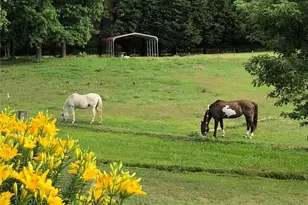 2574 Norrington Rd, Lillington, NC 27546 - Photo 49