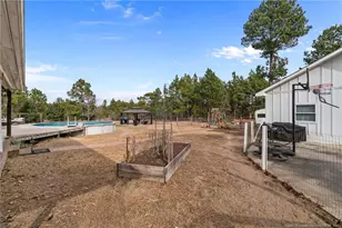 2229 Tingen Rd, Broadway, NC 27505 - Photo 45