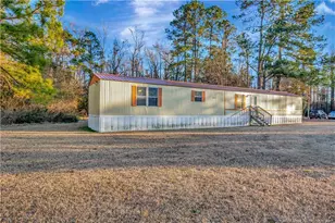 6459 Wire Grass Rd, Orrum, NC 28369 - Photo 3