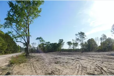 Lot 7 Sand Rock Road, Fairmont, NC 28340 - Photo 1
