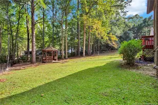 160 Carolina Way, Sanford, NC 27332 - Photo 35