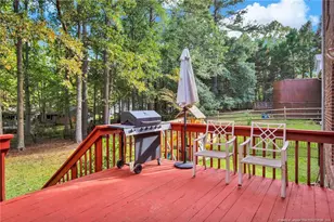 160 Carolina Way, Sanford, NC 27332 - Photo 31