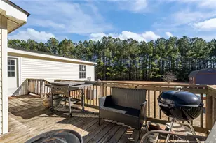 26261 Beaver Run, Wagram, NC 28396 - Photo 49
