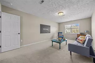 24 Emma Ct, Linden, NC 28356 - Photo 23