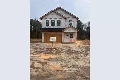 253 Barberry Road, Raeford, NC 28376 - Photo 27