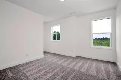 253 Barberry Road, Raeford, NC 28376 - Photo 25