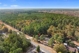 15861 Palmer Rd, Marston, NC 28363 - Photo 21