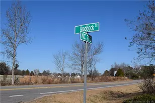 344 Braddock Dr, Lillington, NC 27546 - Photo 47