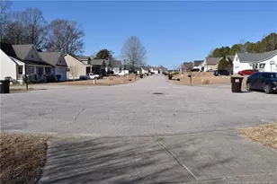 344 Braddock Dr, Lillington, NC 27546 - Photo 43