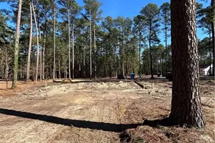 28880 Deercroft Dr, Wagram, NC 28396 - Photo 49