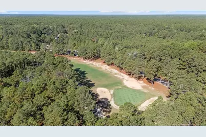 28880 Deercroft Drive, Wagram, NC 28396 - Photo 47