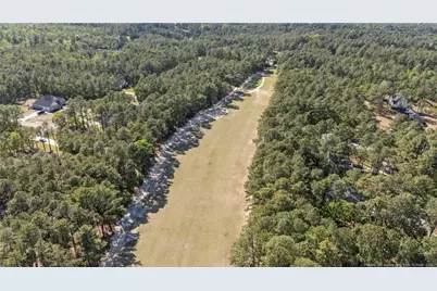 28880 Deercroft Drive, Wagram, NC 28396 - Photo 43
