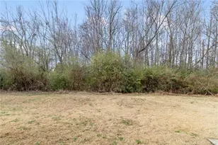 290 Mayor Ct, Raeford, NC 28376 - Photo 29