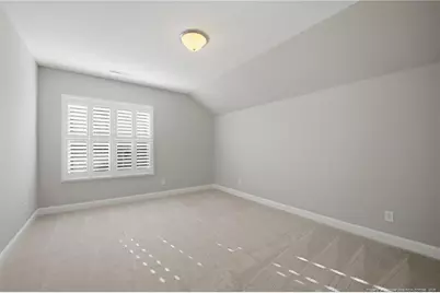 325 Dark Forest Drive, Chapel Hill, NC 27516 - Photo 23