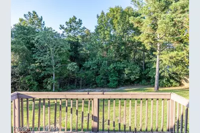 52 Forest Mountain Court, Sanford, NC 27332 - Photo 45