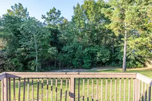 52 Forest Mountain Ct, Sanford, NC 27332 - Photo 45