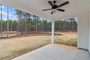 1117 Wolf Pne Ct, Fayetteville, NC 28311 - Photo 41