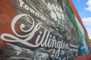 192 Harriette Ct, Lillington, NC 27546 - Photo 47