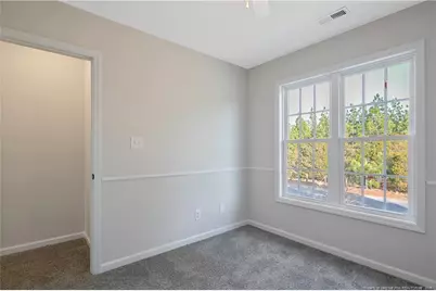 1950 Tingen Road, Broadway, NC 27505 - Photo 41