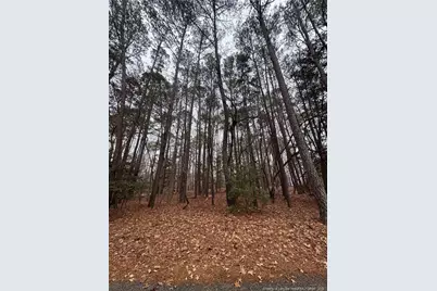 1790 Irish Boulevard, Sanford, NC 27332 - Photo 3