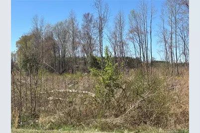 1512 Cox Avenue, Rocky Mount, NC 27801 - Photo 3