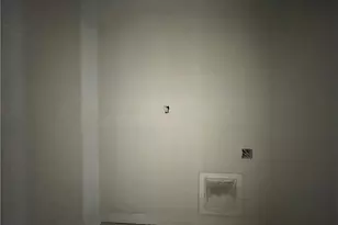 115 Michter St, Vass, NC 28394 - Photo 13