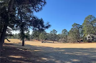 10 Pine Tree Rd, Pinehurst, NC 28374 - Photo 5