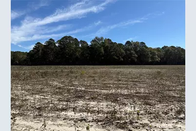 Leggett Road, Fairmont, NC 28340 - Photo 3