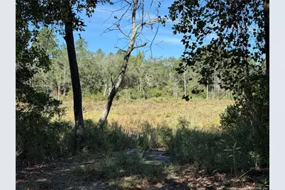 Leggett Road, Fairmont, NC 28340 - Photo 5