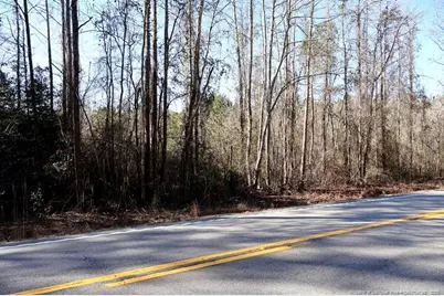 Hwy 130 Highway, Fairmont, NC 28340 - Photo 5