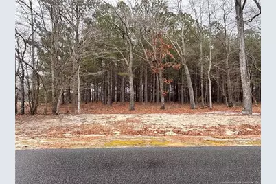 Shelton Beard Road, Fayetteville, NC 28312 - Photo 1