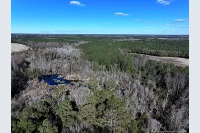 Tbd Stuarts Mill Road, Fairmont, NC 28340 - Photo 3