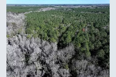 Tbd Stuarts Mill Road, Fairmont, NC 28340 - Photo 5