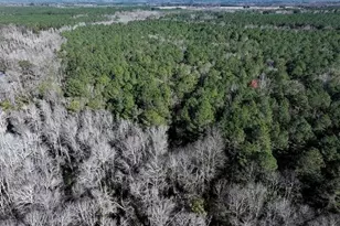 Tbd Stuarts Mill Rd, Fairmont, NC 28340 - Photo 5