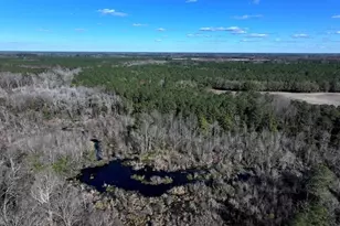 Tbd Stuarts Mill Rd, Fairmont, NC 28340 - Photo 1