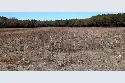 Tbd Stuarts Mill Road, Fairmont, NC 28340 - Photo 9