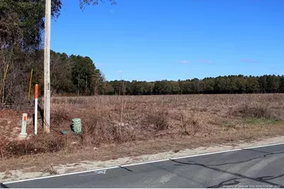 Tbd Stuarts Mill Road, Fairmont, NC 28340 - Photo 3