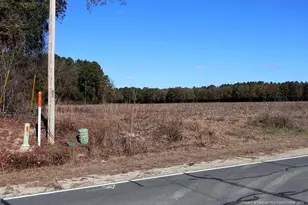 Tbd Stuarts Mill Rd, Fairmont, NC 28340 - Photo 3