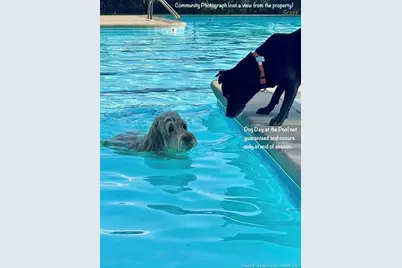 36 Magnolia Court, Sanford, NC 27332 - Photo 9