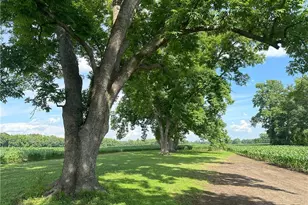 Lot A Pleasant Hope Rd, Lumberton, NC 28340 - Photo 1