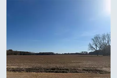 Lot C Pleasant Hope Road, Lumberton, NC 28340 - Photo 1