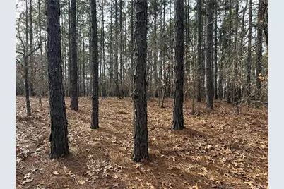 350 Lakeview Lane, Cameron, NC 28326 - Photo 3