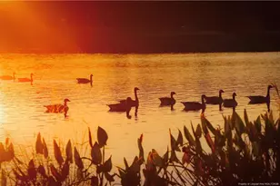 940 Lakewind, Sanford, NC 27332 - Photo 13